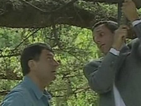 פרק 252