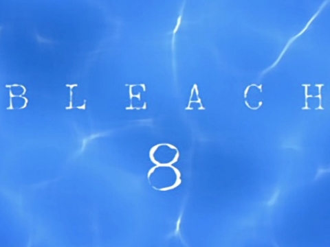 פרק 8