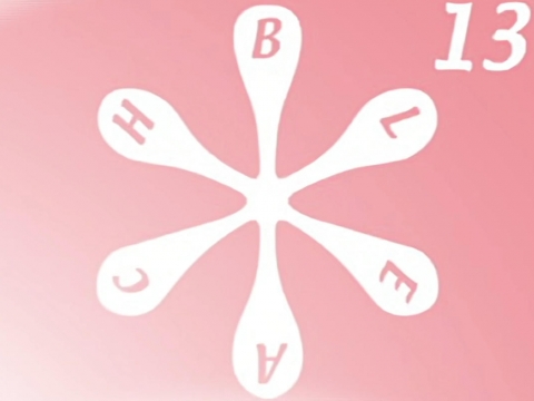 פרק 13